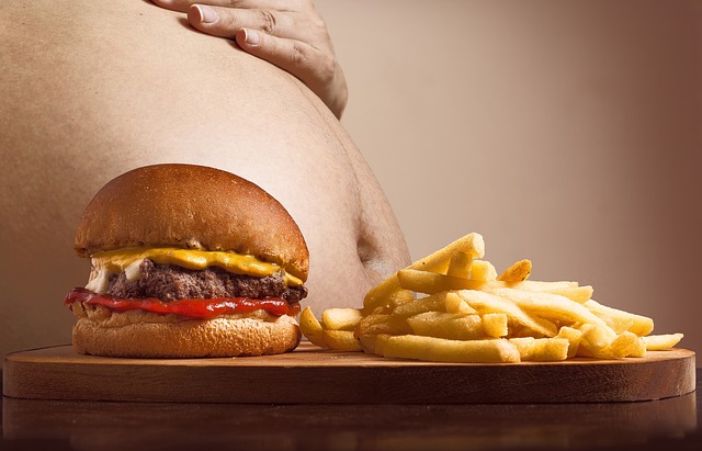 tlusté břicho, před kterým je hamburger a hranolky.jpg